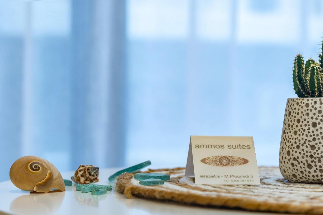 Ammos Suites 依拉佩特拉 外观 照片